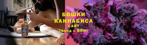 молекула духа Белоозёрский