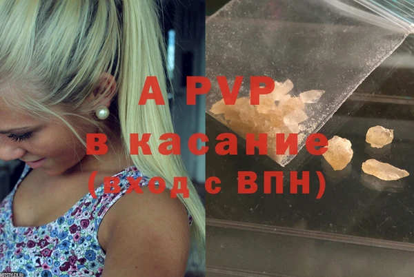 молекула духа Белоозёрский