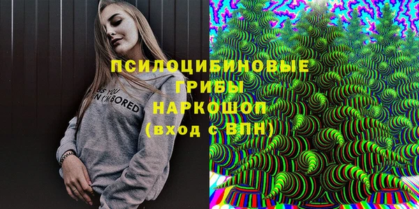 молекула духа Белоозёрский