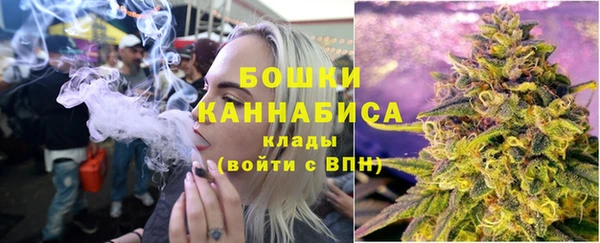 молекула духа Белоозёрский