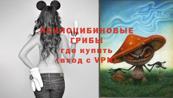 молекула духа Белоозёрский
