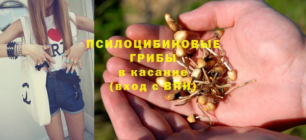 молекула духа Белоозёрский