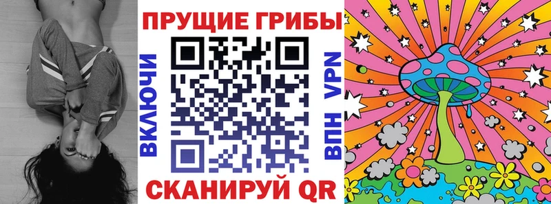 Псилоцибиновые грибы GOLDEN TEACHER  Монино 