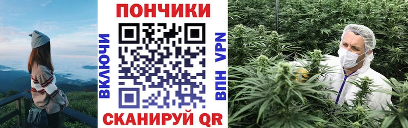Бошки Шишки гибрид как найти закладки Монино